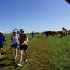 06 d Bürgermeister-Tour Paukenweg